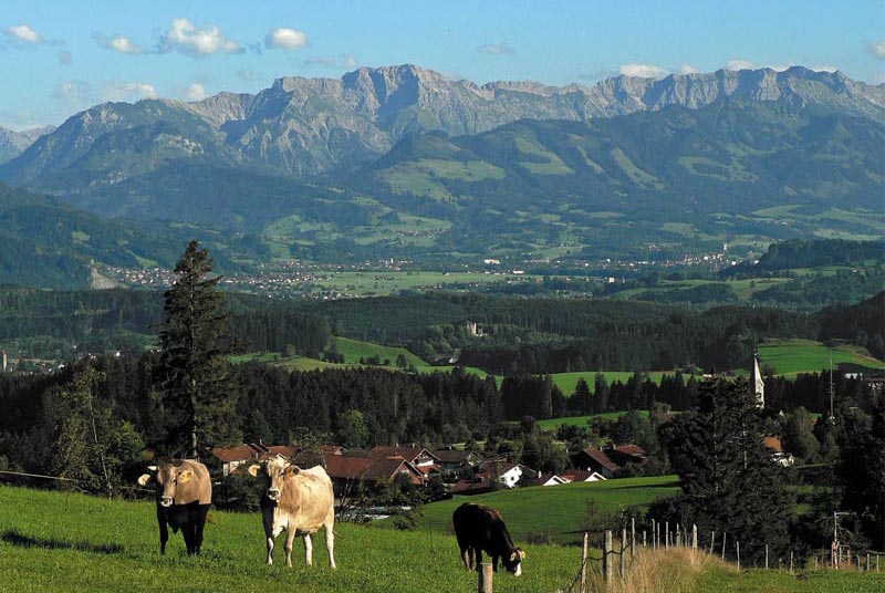 Bergblick Akams im Allgäu