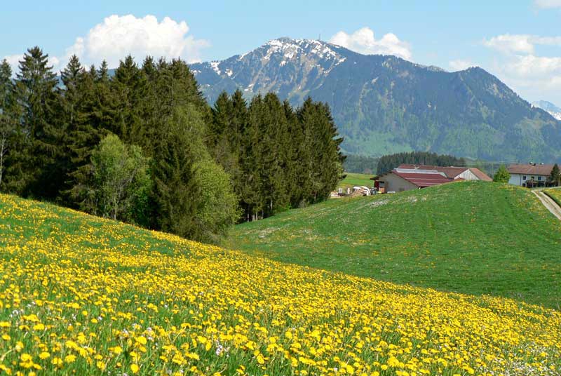 Blick auf den Grünten - Wächter des Allgäus