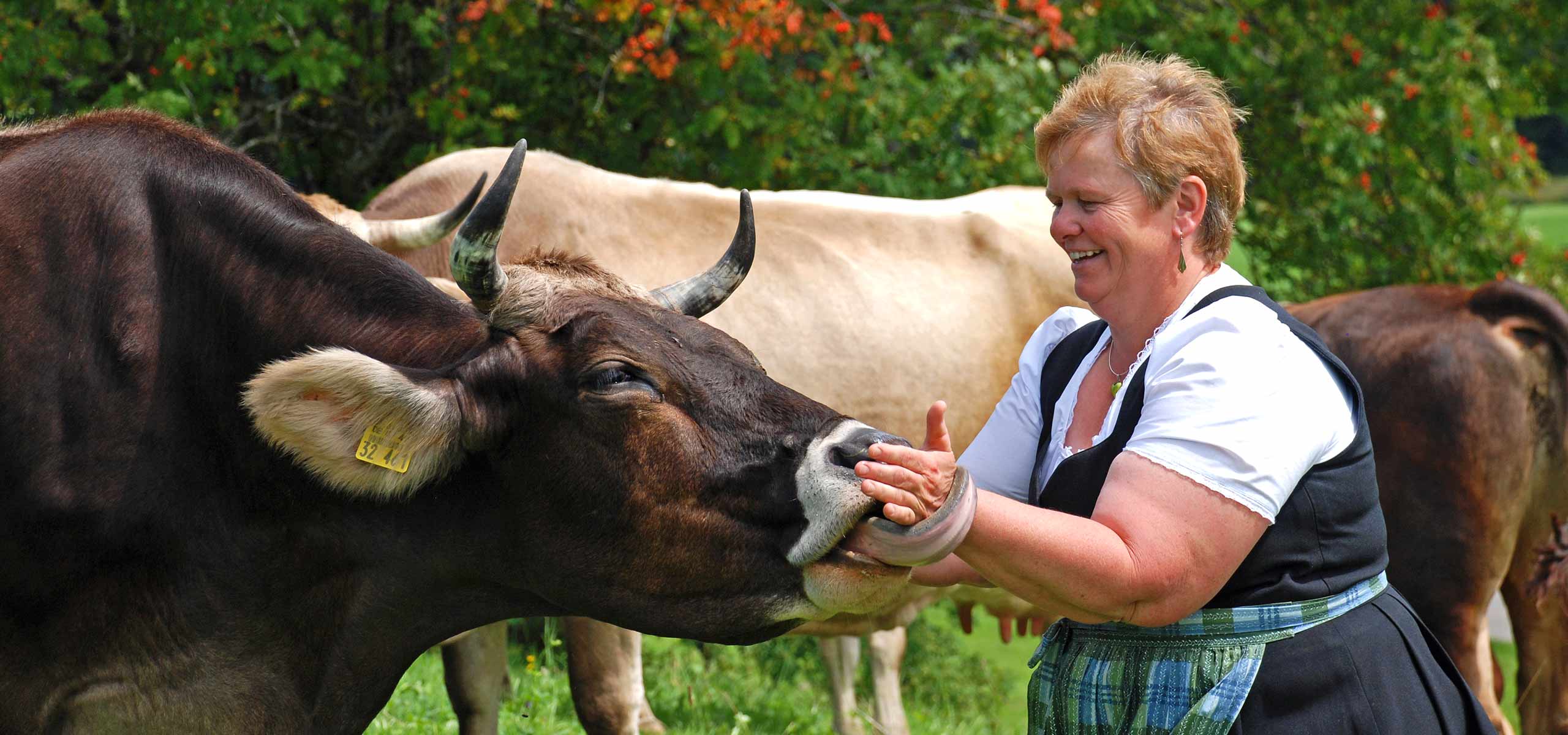 Frau Kirchbihler mit Ihren Hofkühen